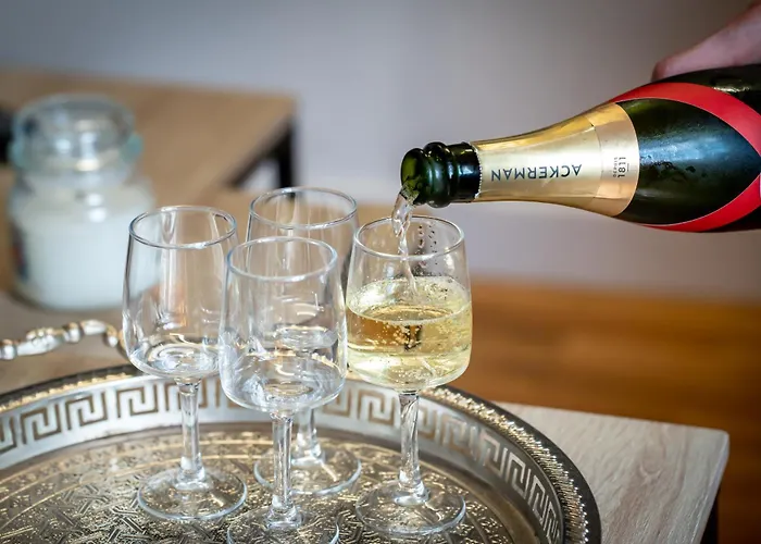 T3 Classe Monument Historique Xvie Centre * Saumur