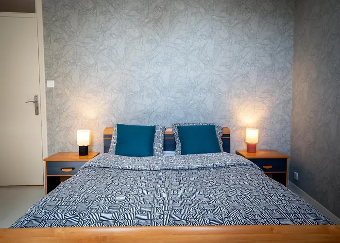 T3 Classe Monument Historique Xvie Centre *