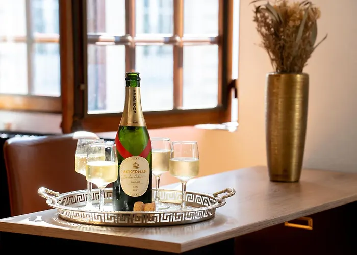 T3 Classe Monument Historique Xvie Centre Lägenhet