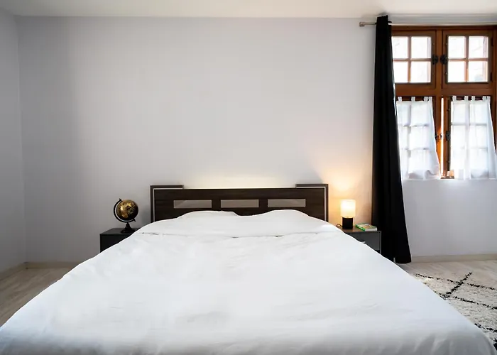 T3 Classe Monument Historique Xvie Centre Apartment