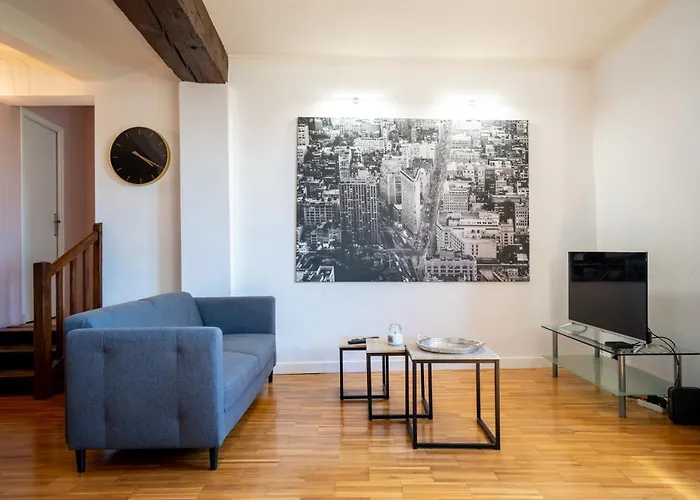 Apartment T3 Classe Monument Historique Xvie Centre *