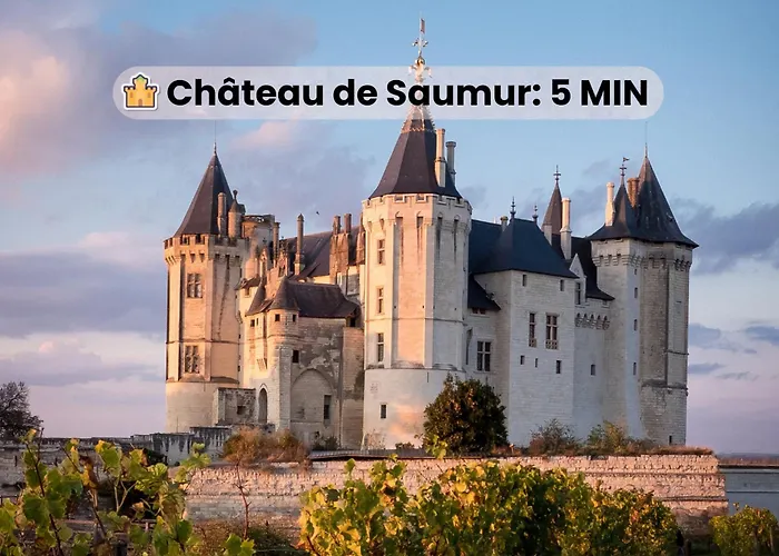 T3 Classe Monument Historique Xvie Centre Lägenhet